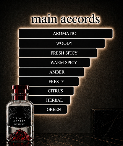 Mystery -  Inspired by Y for men